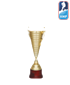 IIHF Asia Cup: 3rd